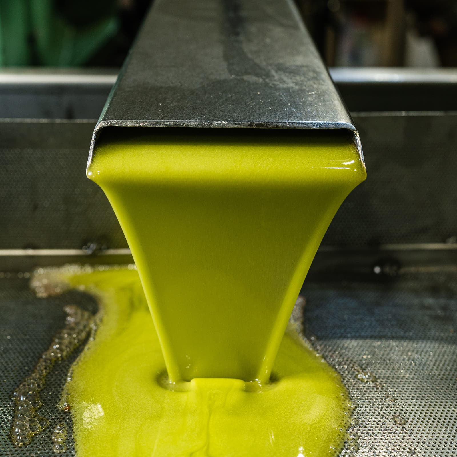 Il colore dell’olio non ne determina la qualità.