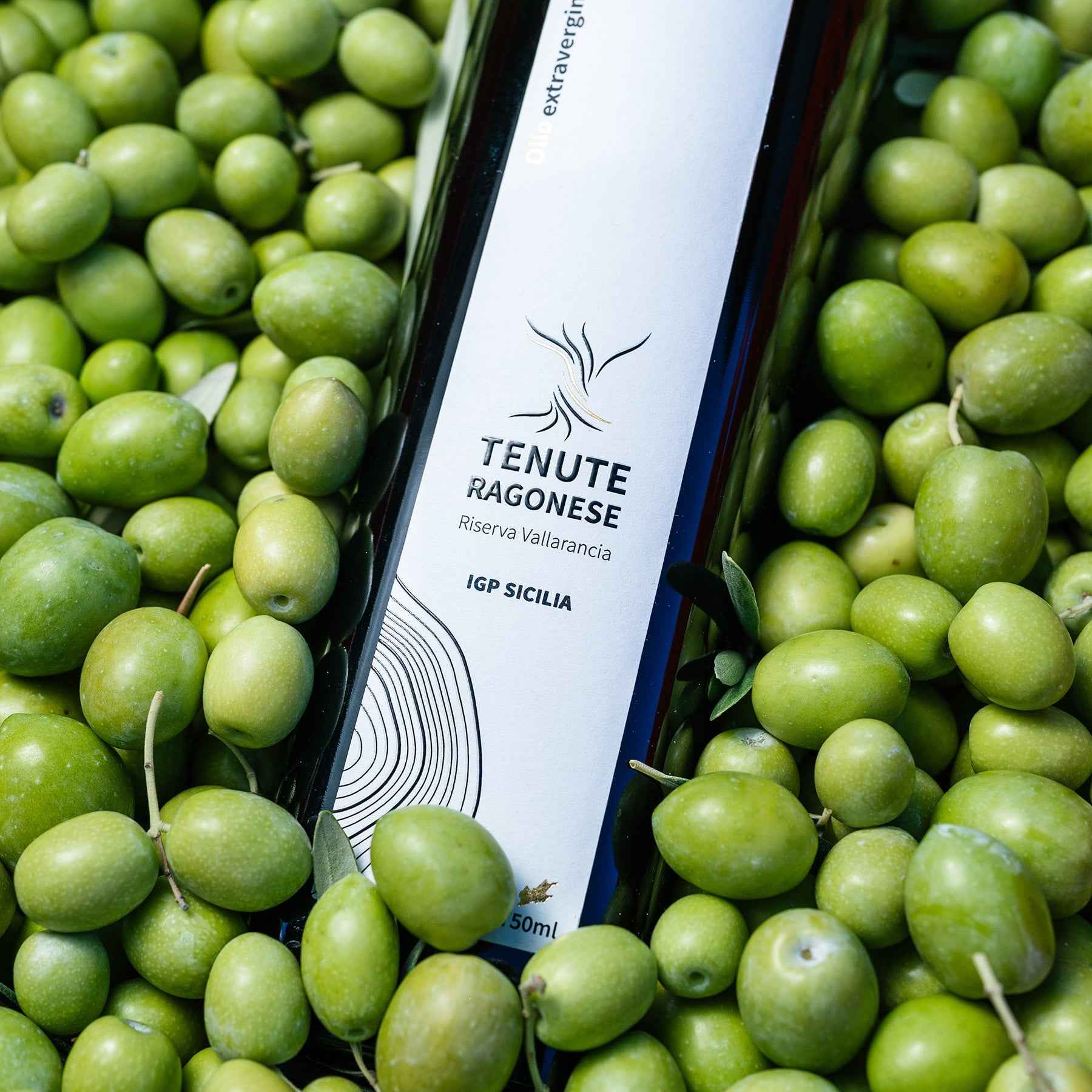 L'olio non è come il vino